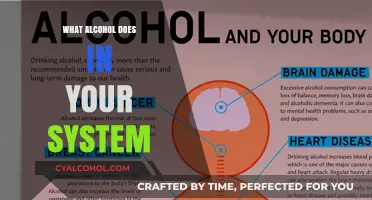 How Alcohol Affects Your Body: A Comprehensive Breakdown of Its Impact