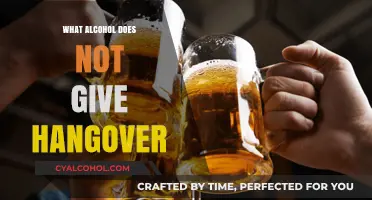 Hangover-Free Drinking: Discover Alcohol Options That Won't Leave You Regretting