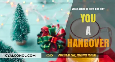 Hangover-Free Drinking: Discover Alcohol Options That Won't Leave You Regretting