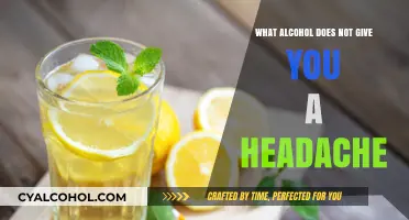 Headache-Free Drinking: Alcohols That Won’t Leave You Regretting