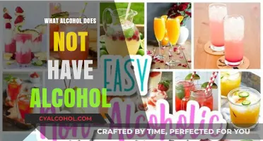 Exploring Non-Alcoholic Drinks: Surprising Alcohol-Free Options You Can Enjoy