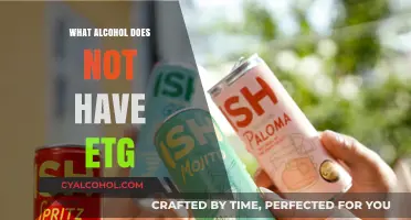 ETG-Free Alcohol Options: Discover Drinks Without ETG Traces
