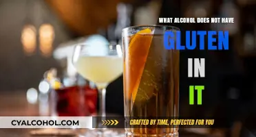Gluten-Free Alcohol Guide: Safe Drinks for Celiac and Sensitive Diets