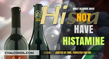 Histamine-Free Drinking: Discover Alcohol Options That Won't Trigger Reactions