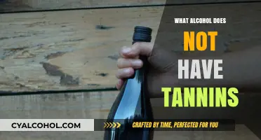 Tannin-Free Spirits: Discover Alcohol Options Without Tannins