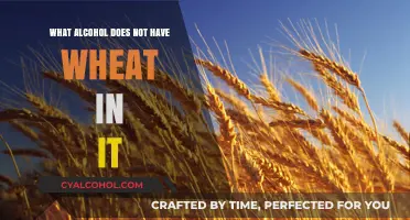 Gluten-Free Drinking Guide: Wheat-Free Alcohol Options Explained