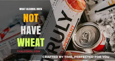 Gluten-Free Drinking: Wheat-Free Alcohol Options for Celiac and Beyond