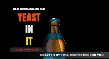 Yeast-Free Alcohol Options: Discover Drinks Without Fermentation