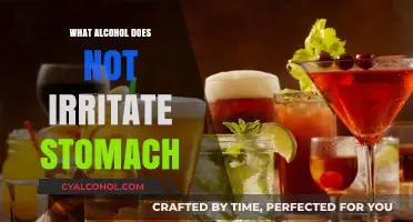 Stomach-Friendly Spirits: Alcohols That Won't Irritate Your Digestive System