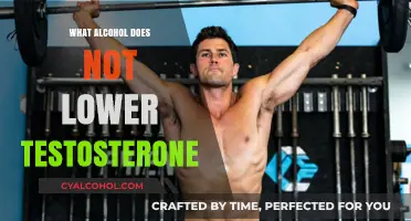 Alcohol and Testosterone: Which Drinks Don't Impact Male Hormone Levels?