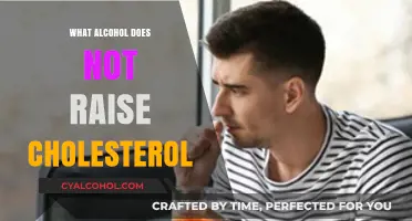 Alcohol and Cholesterol: Which Drinks Won’t Impact Your Levels?