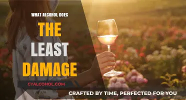 Minimizing Health Risks: Which Alcohol Causes the Least Damage?