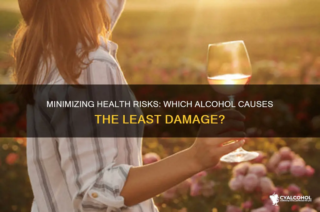 what alcohol does the least damage