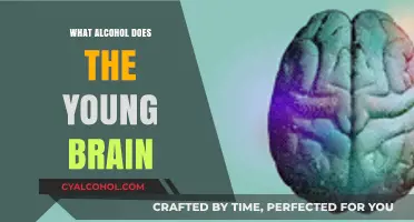 How Alcohol Impacts the Developing Young Brain: Risks Explained
