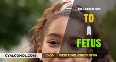 The Hidden Dangers: Alcohol's Impact on Fetal Development Explained
