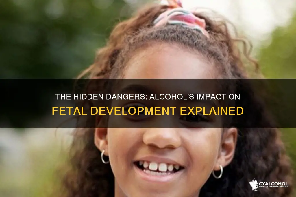 what alcohol does to a fetus