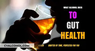 Alcohol's Impact on Gut Health: Uncovering the Hidden Effects