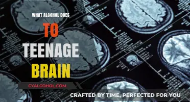 Teenage Brains and Alcohol: Uncovering the Risks and Long-Term Effects