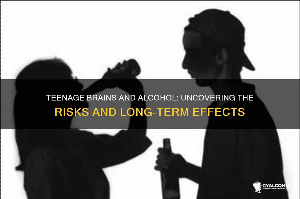 what alcohol does to teenage brain