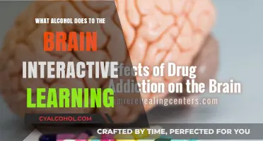 Unveiling Alcohol's Impact: An Interactive Brain Exploration Journey