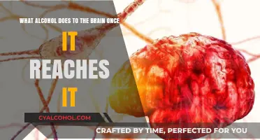 Alcohol's Impact: How It Affects Your Brain