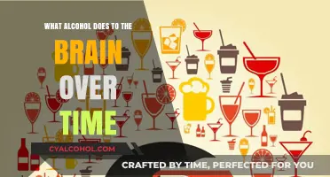 Long-Term Effects of Alcohol: How It Alters Brain Function and Structure