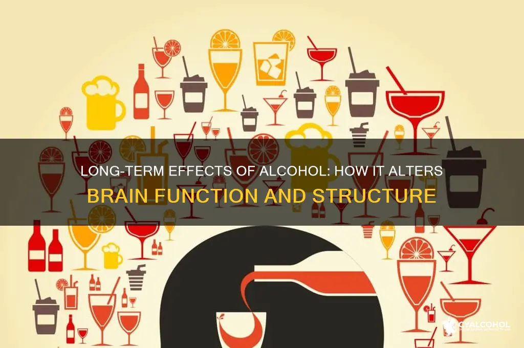 what alcohol does to the brain over time