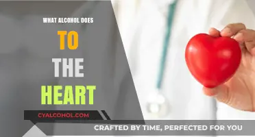 How Alcohol Impacts Heart Health: Risks, Effects, and Prevention Tips
