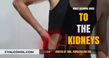 How Alcohol Impacts Kidney Health: Risks and Long-Term Effects