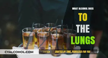 Alcohol's Impact on Lung Health: Risks, Effects, and Prevention Tips