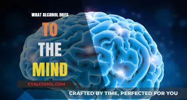Unveiling Alcohol's Impact: How Drinking Alters Brain Function and Cognition