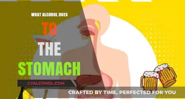 How Alcohol Impacts Your Stomach: Effects, Risks, and Prevention Tips