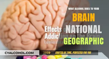 How Alcohol Affects Your Brain: National Geographic Explains the Science