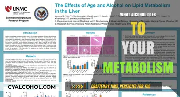 How Alcohol Impacts Your Metabolism: Effects and Consequences Explained