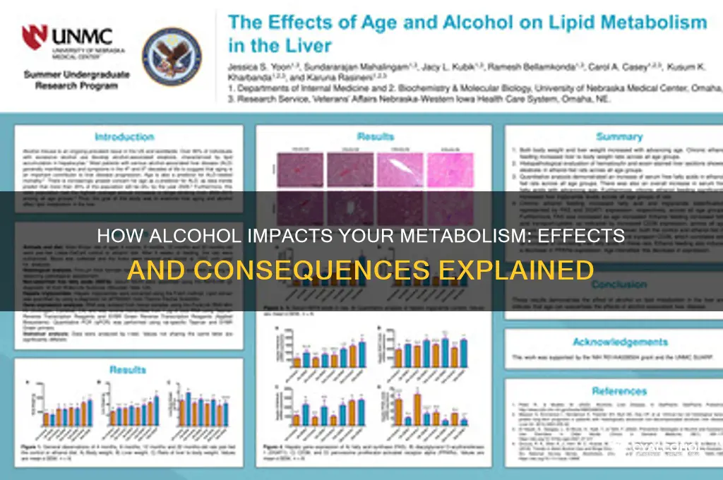 what alcohol does to your metabolism