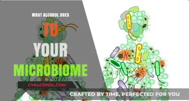 How Alcohol Impacts Your Gut Microbiome: Surprising Effects Revealed