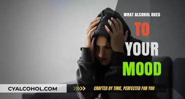 How Alcohol Impacts Your Mood: Uncovering the Emotional Effects