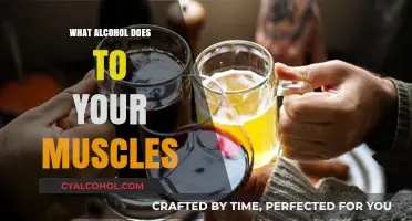 How Alcohol Impacts Muscle Growth, Recovery, and Performance