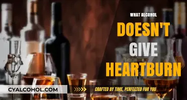 Heartburn-Free Sips: Alcohols That Won’t Trigger Acid Reflux