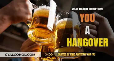 Discover Hangover-Free Alcohol Options: What to Drink and Why