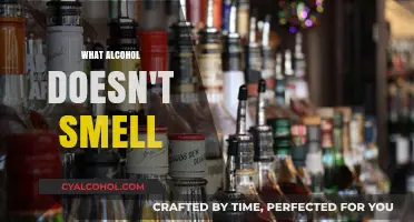 Unscented Spirits: Discovering Odorless Alcohol Options for Discreet Enjoyment