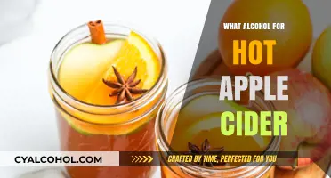 Perfect Pairings: Best Alcohol to Elevate Your Hot Apple Cider Experience