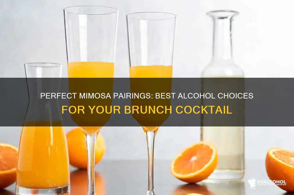 what alcohol for mimosas