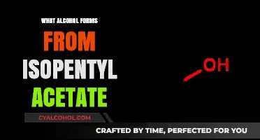 Isopentyl Acetate's Alcohol Transformation: Unveiling the Chemical Process
