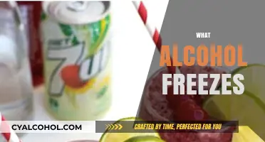 Discover Which Alcoholic Drinks Freeze and How to Do It