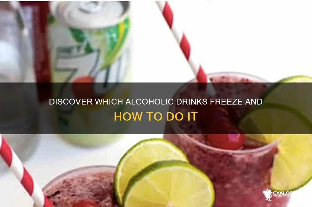what alcohol freezes