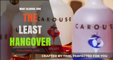 Best Alcohol Choices to Minimize Hangover Symptoms and Feel Better