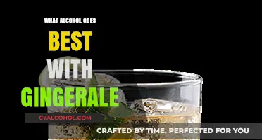 Perfect Pairings: Top Alcohol Choices to Mix with Ginger Ale