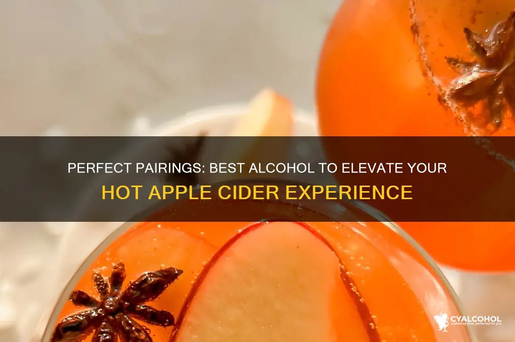 what alcohol goes best with hot apple cider