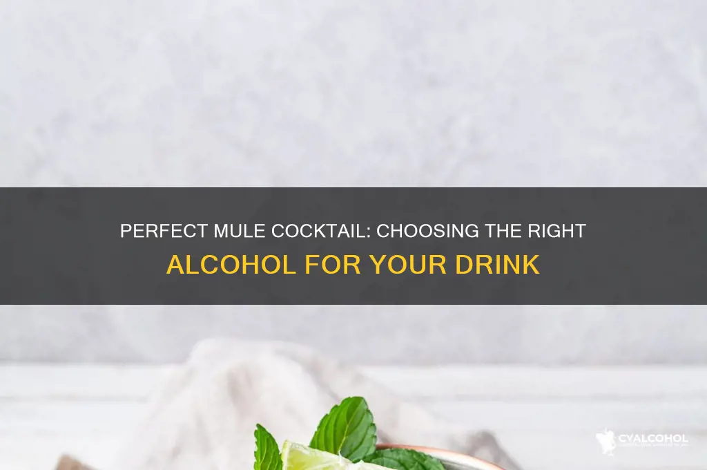 what alcohol goes in a mule